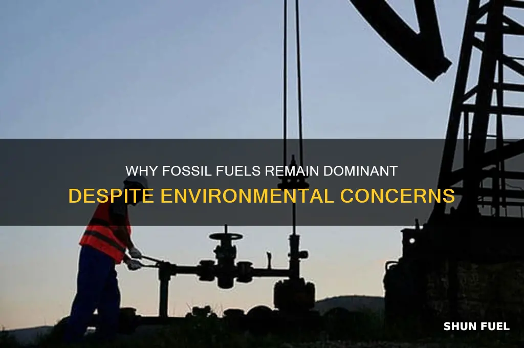 why are fossil fuels b