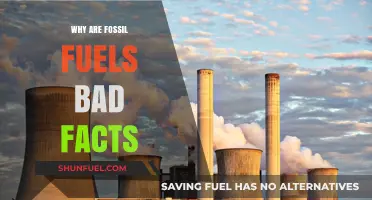 Fossil Fuels' Harmful Impact: Facts on Pollution, Climate, and Health