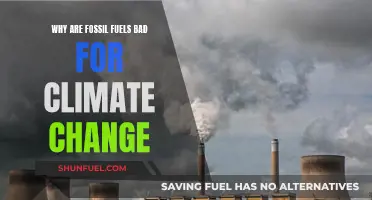 Fossil Fuels: Climate Change's Worst Enemy Explained