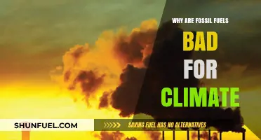 Fossil Fuels' Devastating Impact: Accelerating Climate Change and Environmental Harm