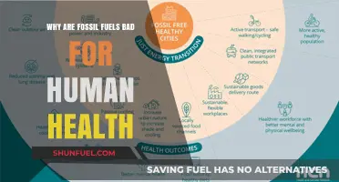 Fossil Fuels' Toxic Impact: How They Harm Human Health
