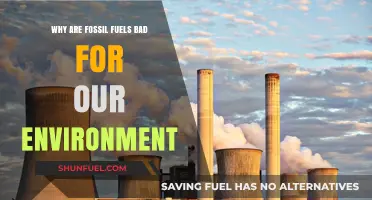 Fossil Fuels' Devastating Impact: Pollution, Climate Change, and Environmental Destruction