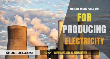 Fossil Fuels' Dark Side: Environmental and Economic Costs of Electricity Generation