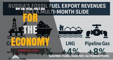 Fossil Fuels' Economic Pitfalls: Environmental Costs and Unsustainable Futures