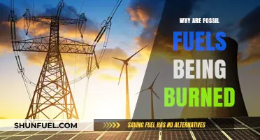 Why Fossil Fuels Remain the World's Dominant Energy Source