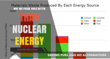 Fossil Fuels vs. Nuclear: Why Traditional Energy Still Reigns Supreme