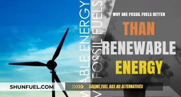 Fossil Fuels: Reliable, Efficient, and Superior Energy Sources