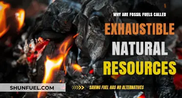 Fossil Fuels: Why They're Exhaustible Natural Resources and Not Renewable