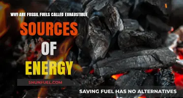 Fossil Fuels: Why They're Exhaustible Energy Sources and Not Renewable