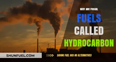 Understanding Hydrocarbons: The Science Behind Fossil Fuels' Chemical Composition