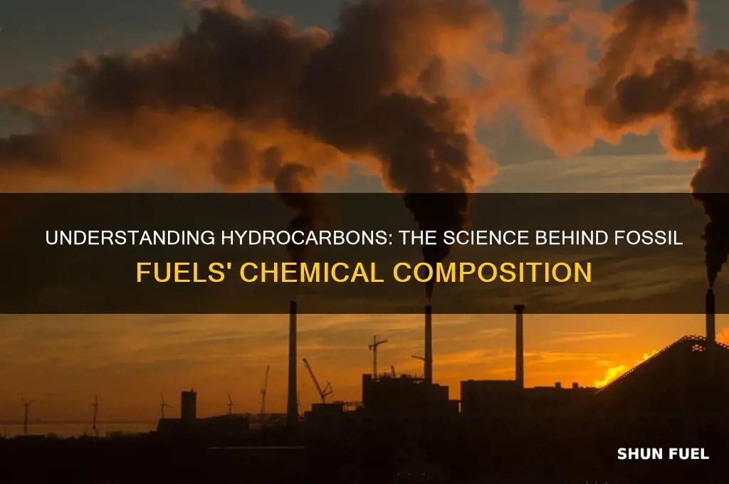 why are fossil fuels called hydrocarbons