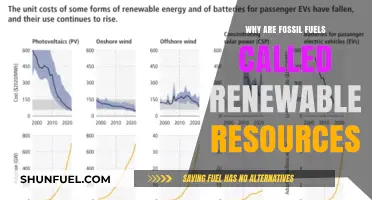 Debunking the Myth: Are Fossil Fuels Truly Renewable Resources?