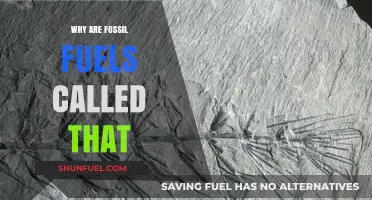 Why Fossil Fuels Earned Their Name: Origins and Insights