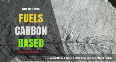 Why Fossil Fuels Are Carbon-Based: Unraveling Their Ancient Origins