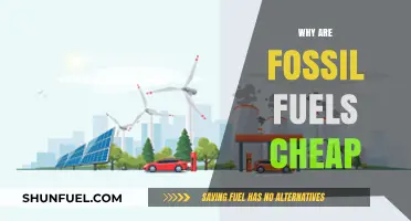 Why Fossil Fuels Remain Cheap Despite Environmental and Economic Costs