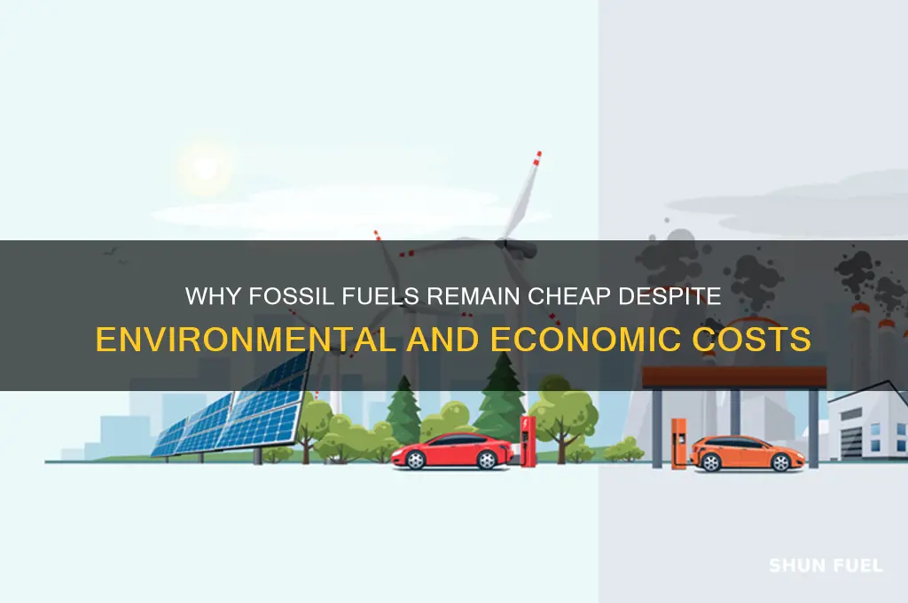 why are fossil fuels cheap