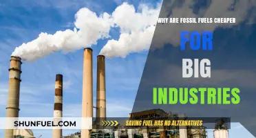 Why Big Industries Rely on Cheap Fossil Fuels: Explained