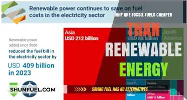 Fossil Fuels vs. Renewables: Why Traditional Energy Costs Less