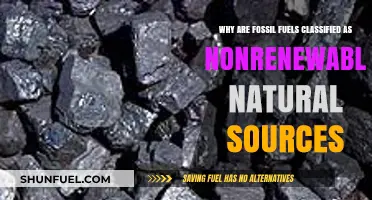 Fossil Fuels: Understanding Their Nonrenewable Nature and Environmental Impact