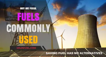 Why Fossil Fuels Remain Dominant: Exploring Their Widespread Use
