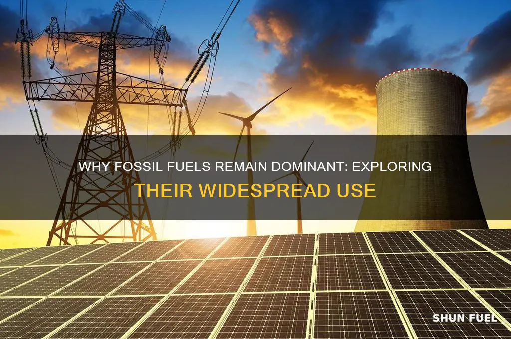why are fossil fuels commonly used