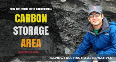 Fossil Fuels: Earth's Ancient Carbon Storage and Climate Impact