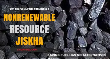 Fossil Fuels: Understanding Their Nonrenewable Nature and Environmental Impact