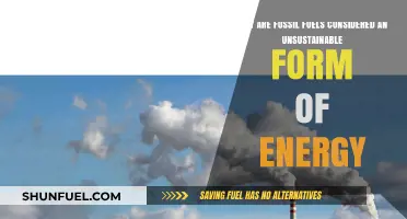 Fossil Fuels: Unsustainable Energy Sources and Their Environmental Impact