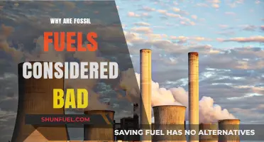 Fossil Fuels' Dark Side: Environmental Impacts and Unsustainable Future