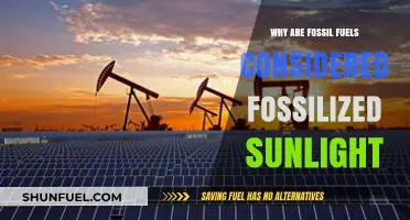 Fossil Fuels: Ancient Sunlight's Legacy and Modern Energy Crisis
