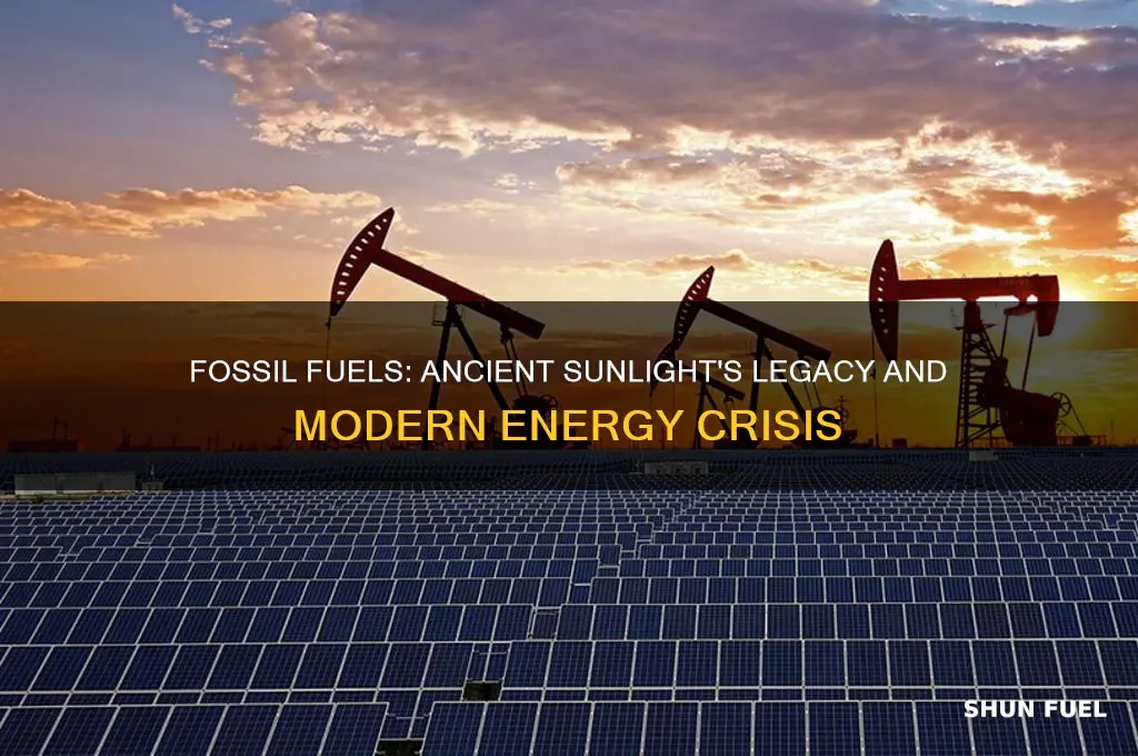 why are fossil fuels considered fossilized sunlight