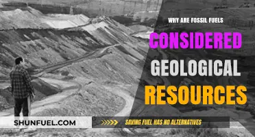 Fossil Fuels: Earth's Geological Treasures and Their Resource Classification