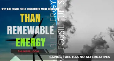 Fossil Fuels vs. Renewables: Why Are They Still Preferred?