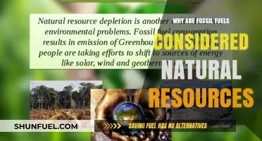 Fossil Fuels: Understanding Their Classification as Natural Resources