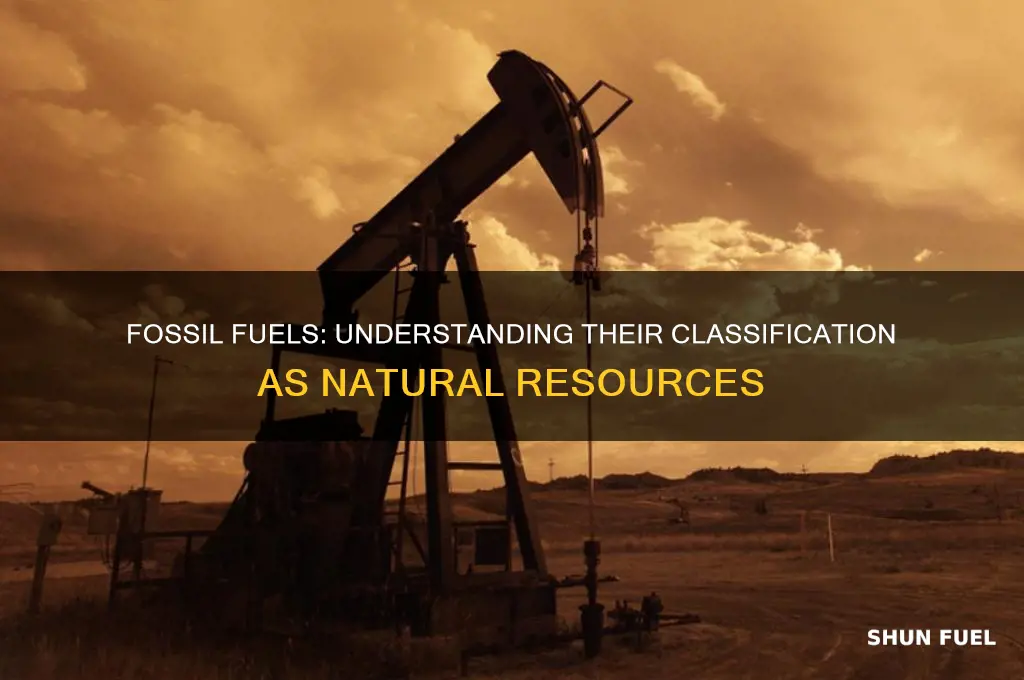 why are fossil fuels considered natural resources