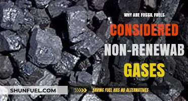 Fossil Fuels: Understanding Their Non-Renewable Nature and Environmental Impact