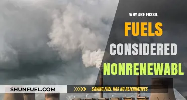 Fossil Fuels: Nonrenewable Energy Sources