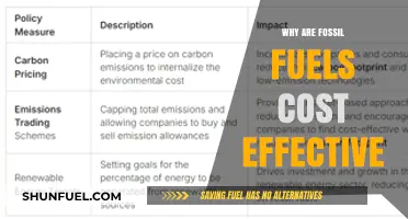 Why Fossil Fuels Remain a Cost-Effective Energy Choice Today