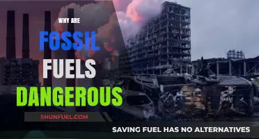 Fossil Fuels' Hidden Dangers: Environmental and Health Risks Explained