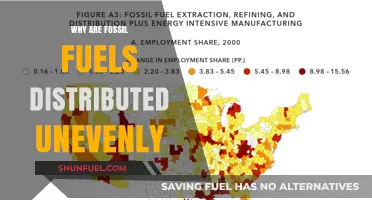 Uneven Distribution of Fossil Fuels: Causes and Global Implications