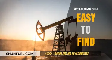 Why Fossil Fuels Are Surprisingly Easy to Locate and Extract