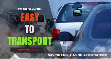 Fossil Fuels' Transport Ease: Unpacking Energy Mobility Advantages
