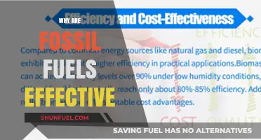 Why Fossil Fuels Remain Effective: Energy Density, Infrastructure, and Reliability