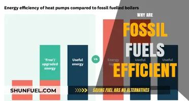 Why Fossil Fuels Remain Efficient Energy Sources Despite Environmental Concerns