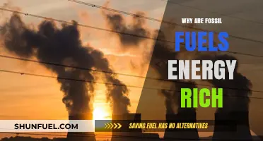 Unlocking the Power: Why Fossil Fuels Are Energy-Rich Resources