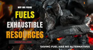 Fossil Fuels: Understanding Their Finite Nature and Exhaustible Limits