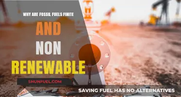 Fossil Fuels: Finite, Non-Renewable, and Disappearing Fast – Why?