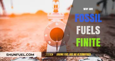 The Finite Nature of Fossil Fuels: Understanding Our Depleting Energy Sources