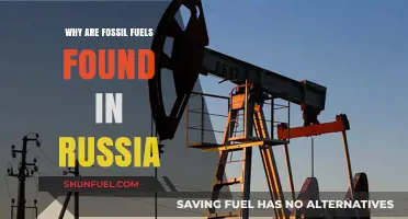 Russia's Fossil Fuel Reserves: Geological Origins and Historical Significance