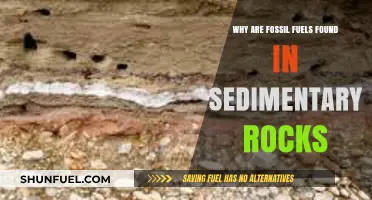 Why Sedimentary Rocks Are the Perfect Home for Fossil Fuels